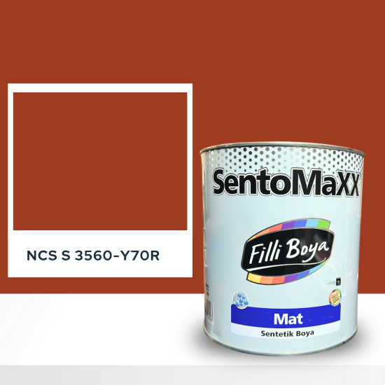 Filli Boya Sentomaxx Boya NCS S 3560-Y70R