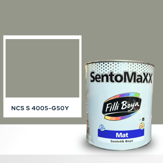 Filli Boya Sentomaxx Boya NCS S 4005-G50Y
