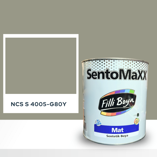 Filli Boya Sentomaxx Boya NCS S 4005-G80Y