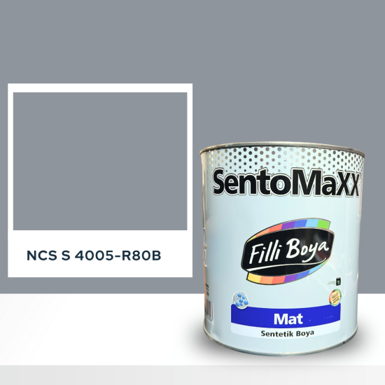 Filli Boya Sentomaxx Boya NCS S 4005-R80B