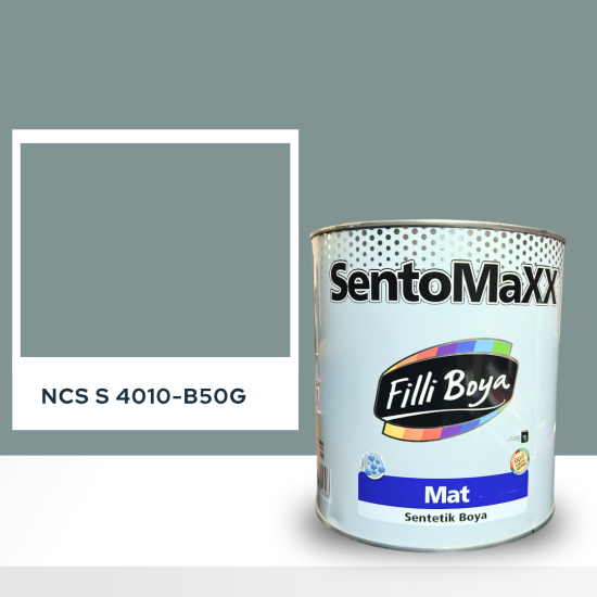 Filli Boya Sentomaxx Boya NCS S 4010-B50G