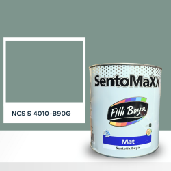Filli Boya Sentomaxx Boya NCS S 4010-B90G