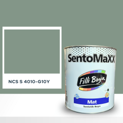 Filli Boya Sentomaxx Boya NCS S 4010-G10Y