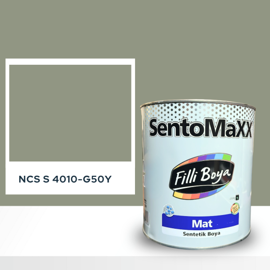 Filli Boya Sentomaxx Boya NCS S 4010-G50Y