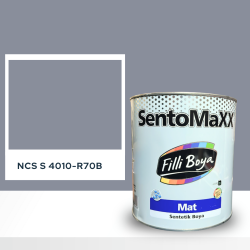 Filli Boya Sentomaxx Boya NCS S 4010-R70B
