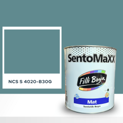 Filli Boya Sentomaxx Boya NCS S 4020-B30G