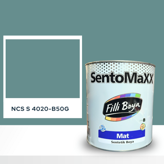 Filli Boya Sentomaxx Boya NCS S 4020-B50G