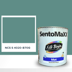 Filli Boya Sentomaxx Boya NCS S 4020-B70G