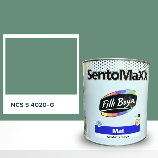 Filli Boya Sentomaxx Boya NCS S 4020-G