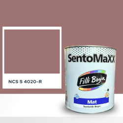 Filli Boya Sentomaxx Boya NCS S 4020-R