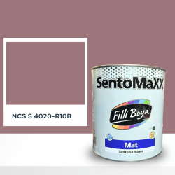 Filli Boya Sentomaxx Boya NCS S 4020-R10B