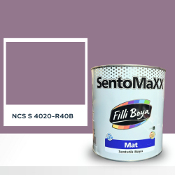 Filli Boya Sentomaxx Boya NCS S 4020-R40B