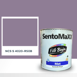 Filli Boya Sentomaxx Boya NCS S 4020-R50B