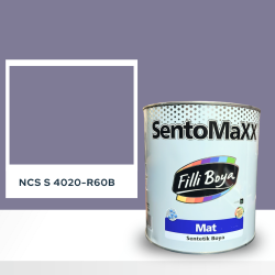 Filli Boya Sentomaxx Boya NCS S 4020-R60B