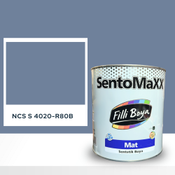 Filli Boya Sentomaxx Boya NCS S 4020-R80B