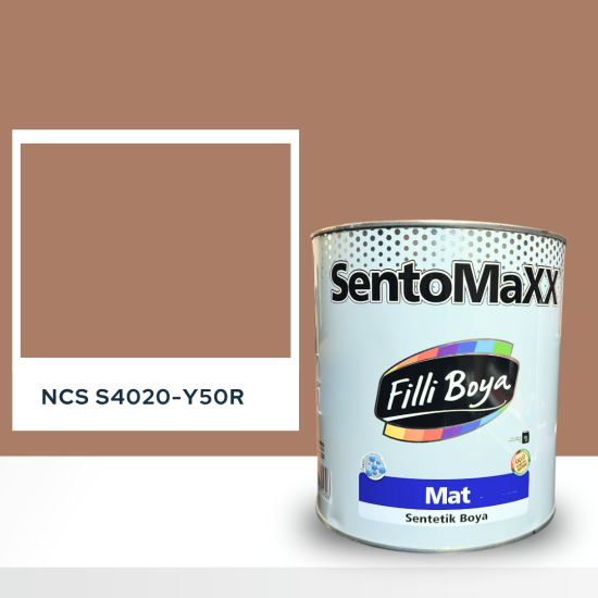 Filli Boya Sentomaxx Boya NCS S 4020-Y50R