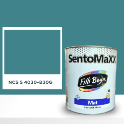 Filli Boya Sentomaxx Boya NCS S 4030-B30G
