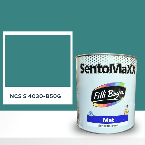 Filli Boya Sentomaxx Boya NCS S 4030-B50G