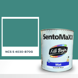 Filli Boya Sentomaxx Boya NCS S 4030-B70G