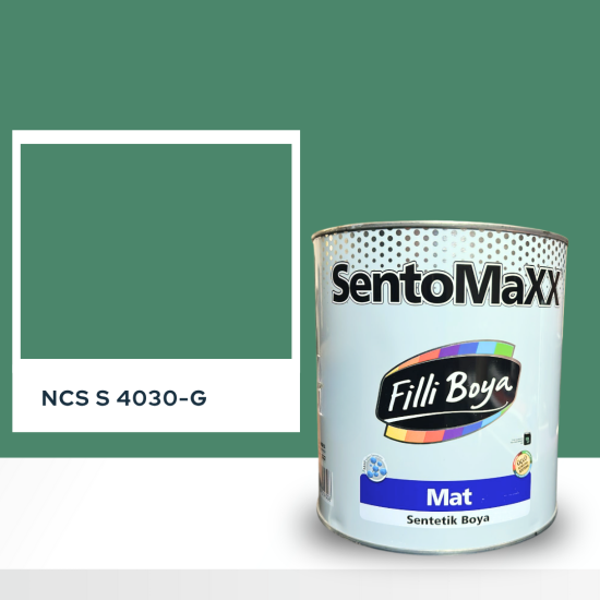 Filli Boya Sentomaxx Boya NCS S 4030-G