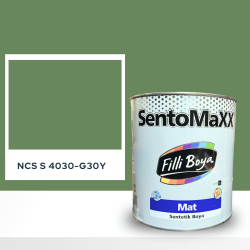Filli Boya Sentomaxx Boya NCS S 4030-G30Y