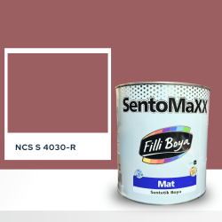 Filli Boya Sentomaxx Boya NCS S 4030-R