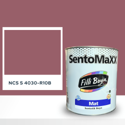 Filli Boya Sentomaxx Boya NCS S 4030-R10B