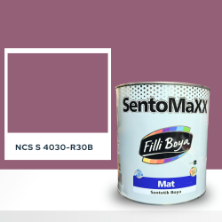 Filli Boya Sentomaxx Boya NCS S 4030-R30B