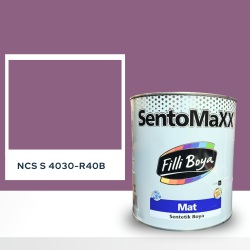 Filli Boya Sentomaxx Boya NCS S 4030-R40B