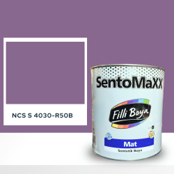 Filli Boya Sentomaxx Boya NCS S 4030-R50B