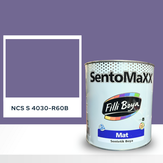 Filli Boya Sentomaxx Boya NCS S 4030-R60B Filli Boya Sentomaxx Boya NCS S 4030-R60B