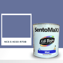 Filli Boya Sentomaxx Boya NCS S 4030-R70B