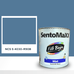 Filli Boya Sentomaxx Boya NCS S 4030-R90B