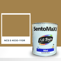 Filli Boya Sentomaxx Boya NCS S 4030-Y10R