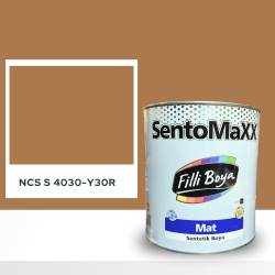 Filli Boya Sentomaxx Boya NCS S 4030-Y30R