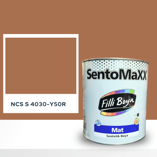 Filli Boya Sentomaxx Boya NCS S 4030-Y50R