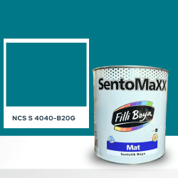 Filli Boya Sentomaxx Boya NCS S 4040-B20G