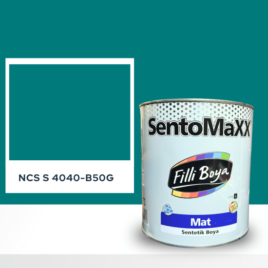 Filli Boya Sentomaxx Boya NCS S 4040-B50G
