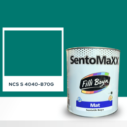 Filli Boya Sentomaxx Boya NCS S 4040-B70G