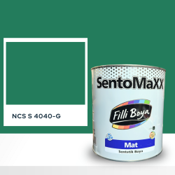 Filli Boya Sentomaxx Boya NCS S 4040-G