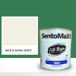 Filli Boya Sentomaxx Boya NCS S 4040-G10Y