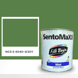 Filli Boya Sentomaxx Boya NCS S 4040-G30Y
