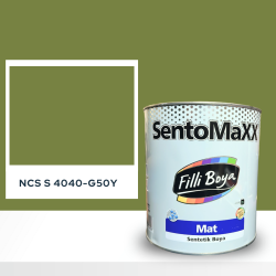 Filli Boya Sentomaxx Boya NCS S 4040-G50Y