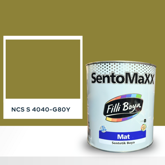 Filli Boya Sentomaxx Boya NCS S 4040-G80Y
