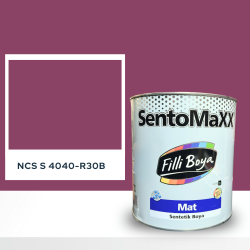 Filli Boya Sentomaxx Boya NCS S 4040-R30B