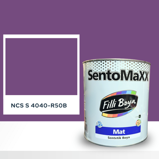 Filli Boya Sentomaxx Boya NCS S 4040-R50B Filli Boya Sentomaxx Boya NCS S 4040-R50B
