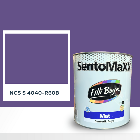 Filli Boya Sentomaxx Boya NCS S 4040-R60B