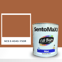 Filli Boya Sentomaxx Boya NCS S 4040-Y50R