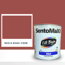 Filli Boya Sentomaxx Boya NCS S 4040-Y90R