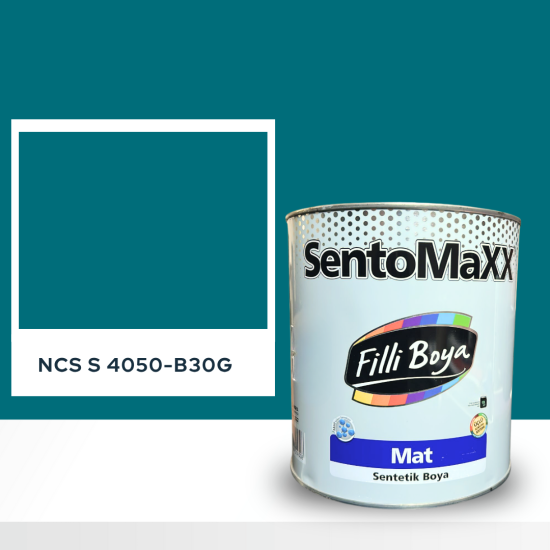 Filli Boya Sentomaxx Boya NCS S 4050-B30G Filli Boya Sentomaxx Boya NCS S 4050-B30G